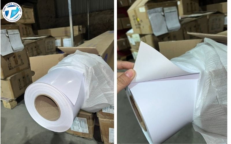 Decal ô tô trắng sữa hãng SAILS 812 dày 120gr
